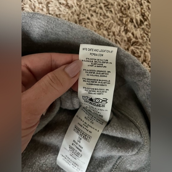 Patagonia Free Hand Fitz Roy Ahnya Hoodie in gray - Picture 11 of 13